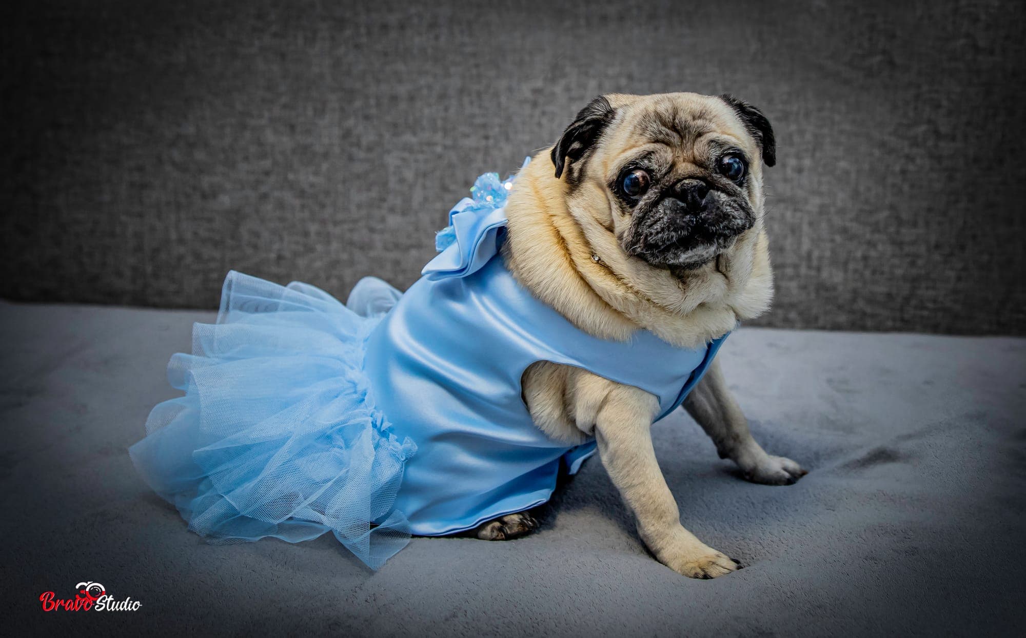 Weddings — Bravo Studio Production (14)