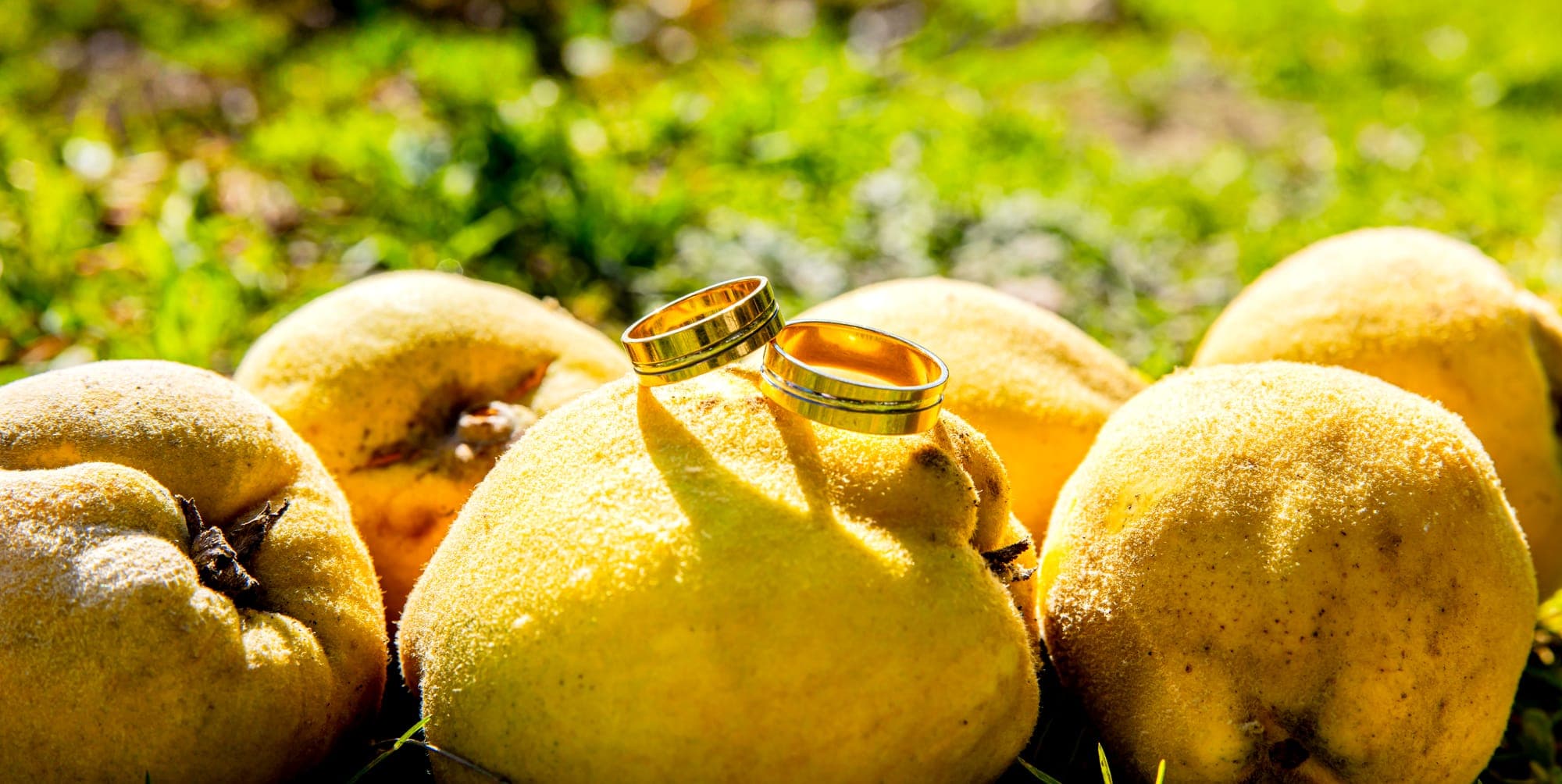Weddings — Bravo Studio Production (17)